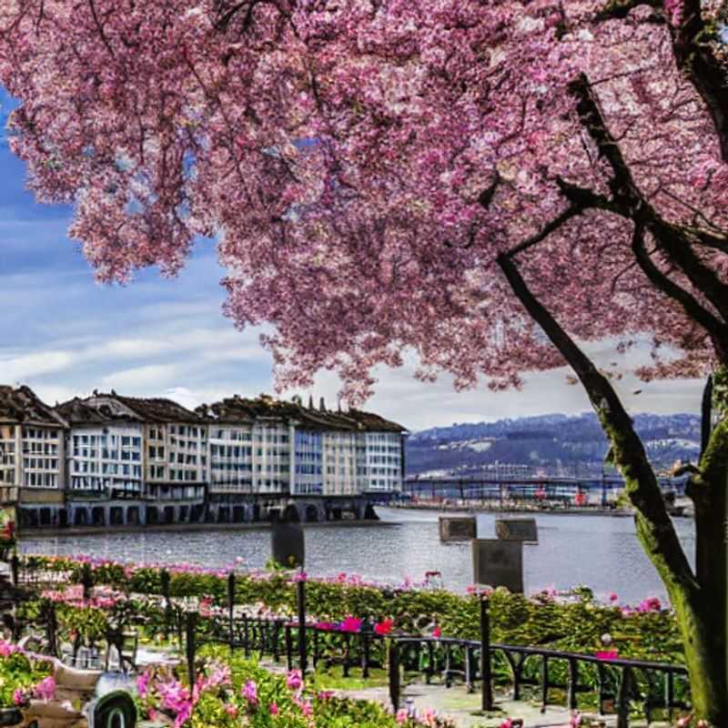 Zurich au printemps: une image idyllique de la ville suisse baignée de soleil, parfaite pour un séjour printanier.