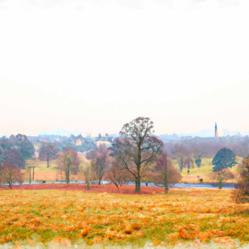 Hyde Park and Kensington Gardens: A Winter Oasis in London