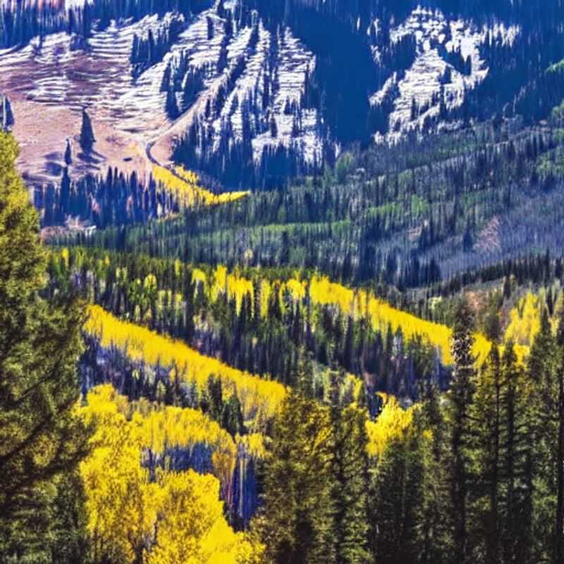 Aspen in Summer: A Local's Guide to Sunny Days & Mountain Adventures<h3>Is Aspen Good for a Summer Holiday? (Spoiler Alert: YES!)</h3><h3>Sun-Kissed Aspen: Unveiling the Magic of Summer in Colorado</h3><h3>Beyond the Snow: Discovering Aspen's Unexpected Summer Delights</h3><h3>Aspen Summer Escape: Warm Weather Wonders & Hidden Gems</h3><h3>Your Aspen Summer Adventure Awaits: A Guide to Unforgettable Experiences</h3><h3>Aspen's Summer Secret: Why Now's the Perfect Time to Visit</h3><h3>Warm Weather & Wonderful Aspen: Planning Your Dream Summer Getaway</h3><h3>Hiking, Biking & Bliss: Exploring Aspen's Summer Playground</h3>