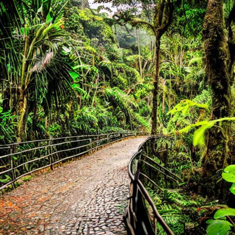 Monteverde in Summer: A Festival of Nature and Culture!<h3>Sun-Kissed Adventures: Is Monteverde Your Perfect Summer Escape?</h3><h3>Beyond the Clouds: Exploring Monteverde's Summer Festivals and Events</h3><h3>Costa Rica's Hidden Gem: Why Monteverde is Magical in Summer</h3><h3>Monteverde Summer: A Blend of Thrills, Culture, and Unforgettable Experiences</h3><h3>Discovering Monteverde's Summer Side: Festivals, Wildlife, and Relaxation</h3><h3>Summer in Monteverde: More Than Just a Vacation, It's an Adventure!</h3><h3>Is Monteverde the Right Summer Destination for You? Let's Find Out!</h3><h3>Unveiling Monteverde's Summer Secrets: Festivals, Nature, and Hidden Gems</h3><h3>Your Summer Escape Awaits: Exploring the Wonders of Monteverde, Costa Rica</h3>