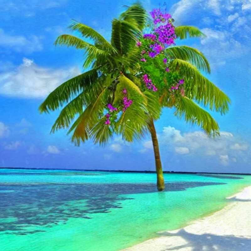 Crystal clear turquoise waters meet pristine white sand beaches: Choosing the perfect Maldives resort is key to unlocking your island paradise dream. Let's dive in!